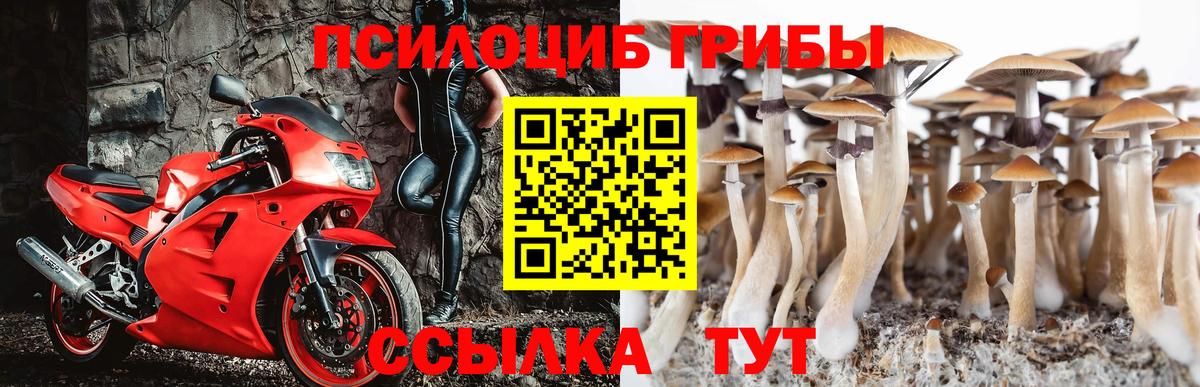 Псилоцибиновые грибы мицелий Сосновоборск